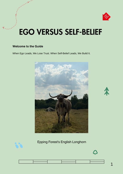 Ego verus Self belief