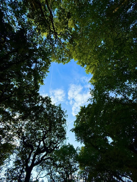 PHOTO-2025-07-01-14-46-43 2