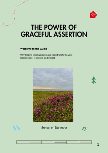 The Power of Graceful Assertion The Power of Graceful Assertion