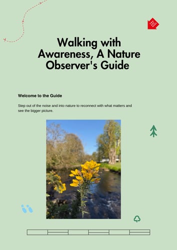 Walking with Awareness A Nature Observers Guide 